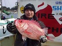 �X�����т���ɃG�r�X��